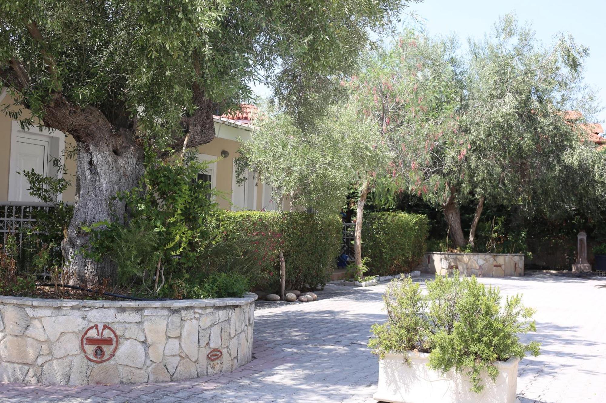 Golden Residence Family Resort Πευκοχώρι Εξωτερικό φωτογραφία