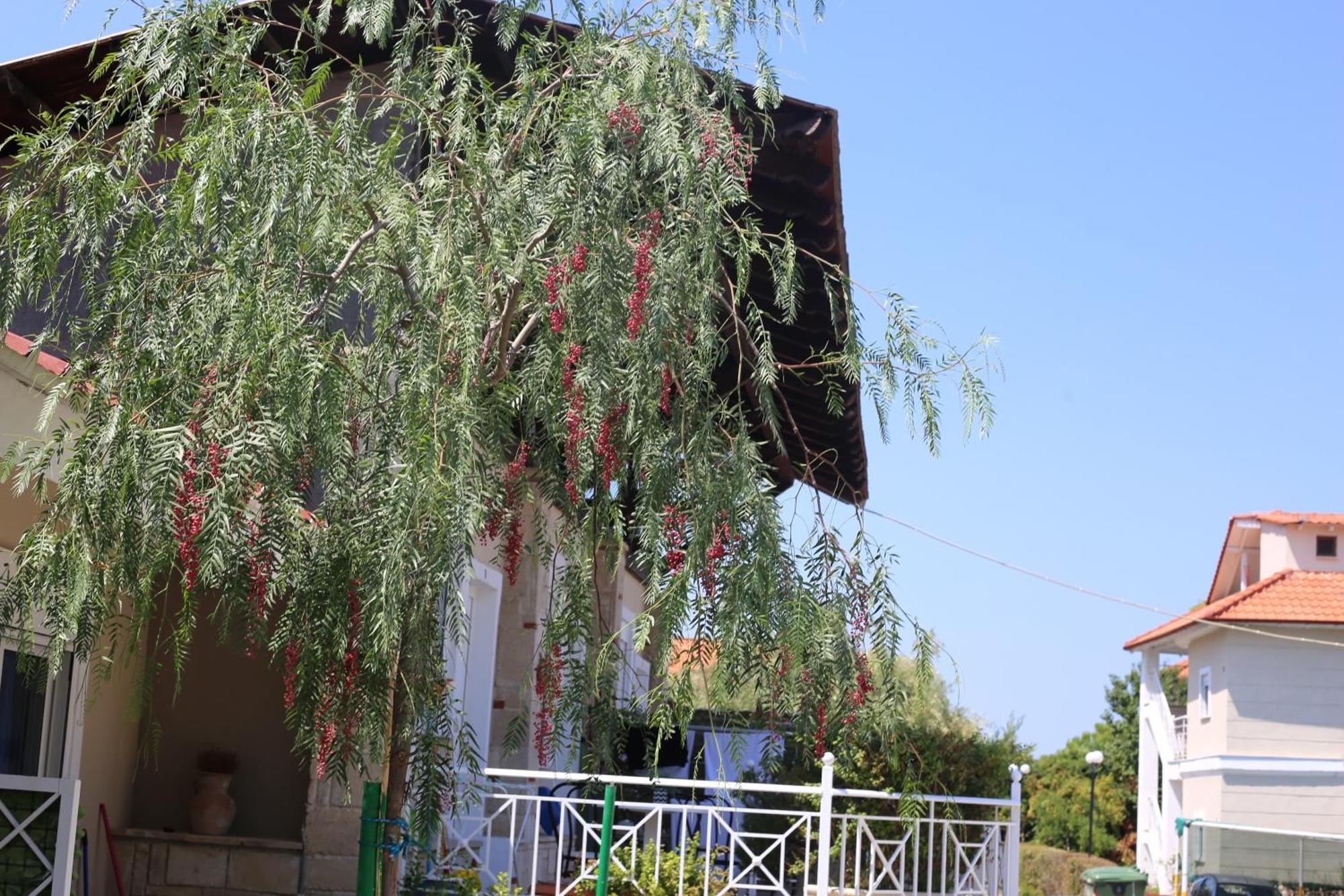 Golden Residence Family Resort Πευκοχώρι Εξωτερικό φωτογραφία